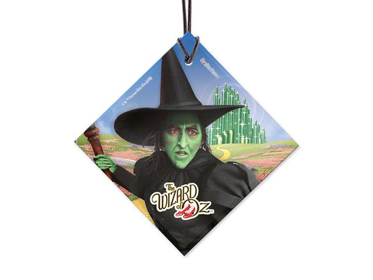 WIZARD OF OZ - The Wicked Witch - Starfire Prints Hanging Glass Mug Trendsetters 